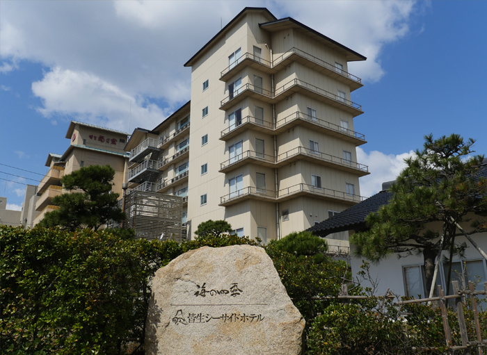 RYOKAN VIEW